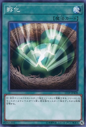 [N] 17TP-JP408 孵化