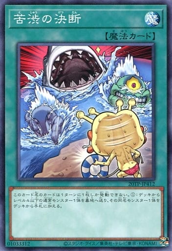 [N] 20TP-JP412 苦渋の決断