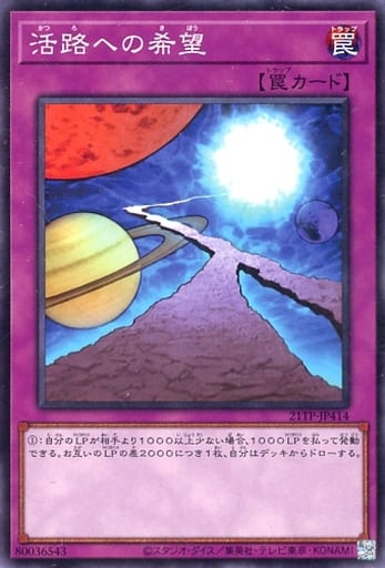 [N] 21TP-JP414 活路への希望