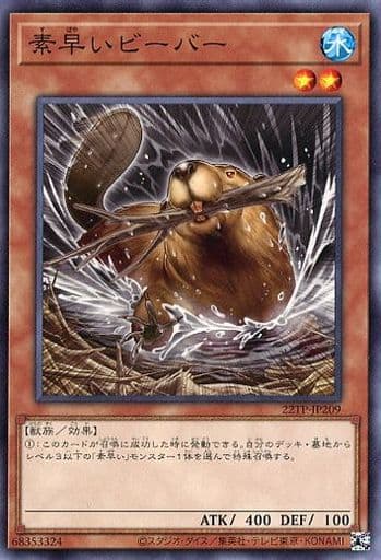 [N] 22TP-JP209 素早いビーバー