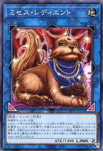 [N] 22TP-JP210 ミセス・レディエント