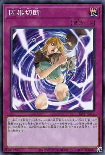[N] 22TP-JP214 因果切断