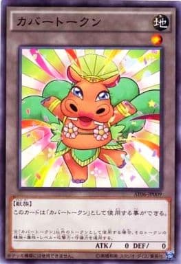 [N] AT06-JP009 カバートークン