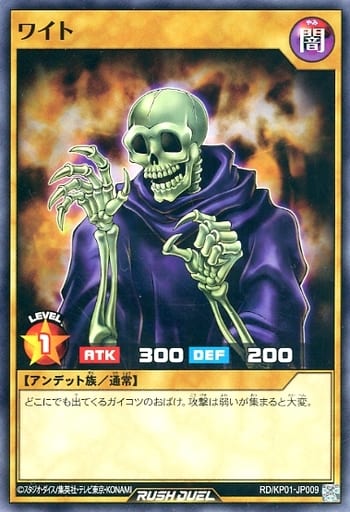 [N] RD/KP01-JP009 ワイト