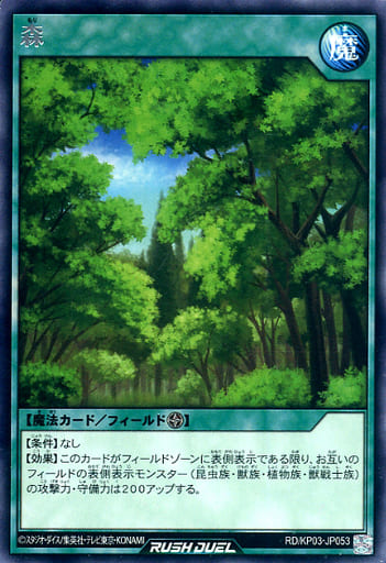 [R] RD/KP03-JP053 森