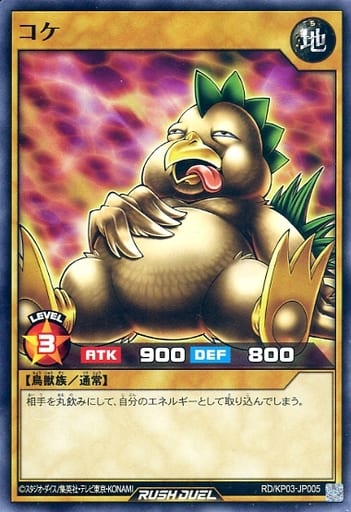 [N] RD/KP03-JP005 コケ