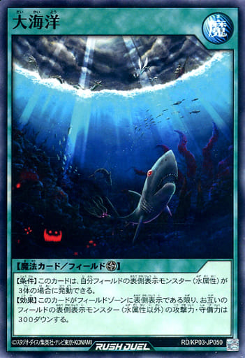 [N] RD/KP03-JP050 大海洋