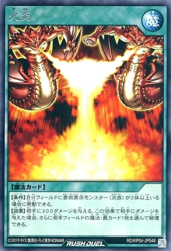 [R] RD/KP04-JP048 火炎