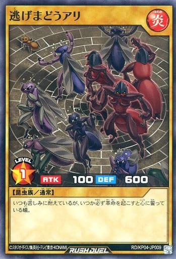 [N] RD/KP04-JP009 逃げまどうアリ