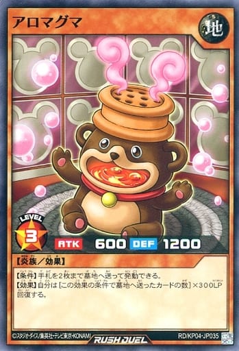 [N] RD/KP04-JP035 アロマグマ
