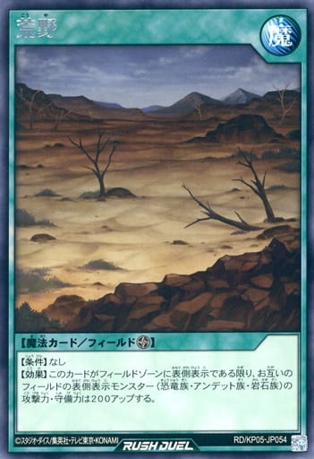 [R] RD/KP05-JP054 荒野