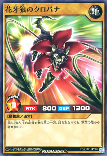 [N] RD/KP05-JP006 花牙狼のクロバナ