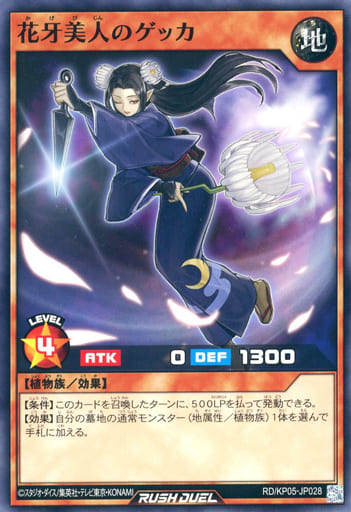 [N] RD/KP05-JP028 花牙美人のゲッカ
