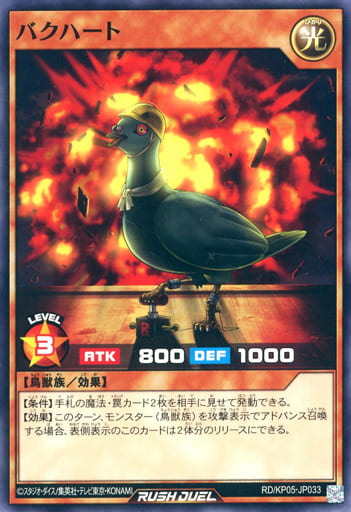 [N] RD/KP05-JP033 バクハート