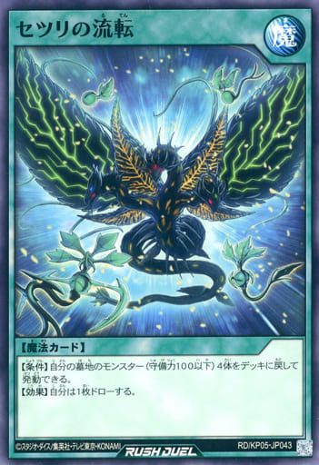 [N] RD/KP05-JP043 セツリの流転