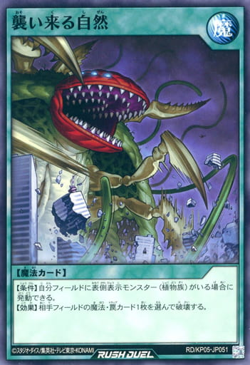 [N] RD/KP05-JP051 襲い来る自然