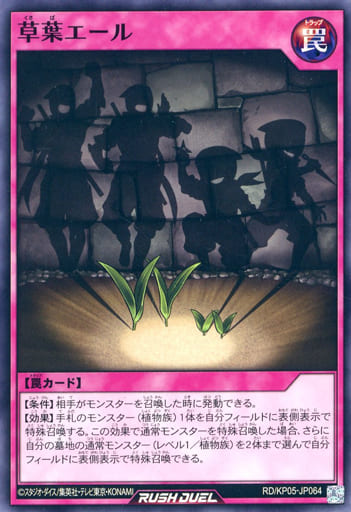 [N] RD/KP05-JP064 草葉エール