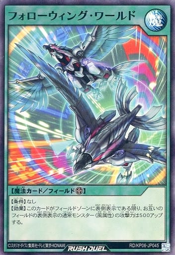 [SR] RD/KP06-JP045 フォローウィング・ワールド