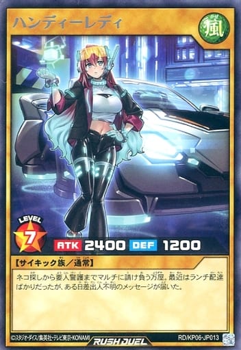 [R] RD/KP06-JP013 ハンディーレディ