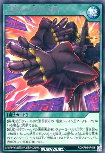 [R] RD/KP06-JP046 名刺しの命死交換