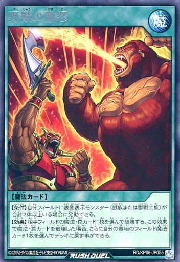 [R] RD/KP06-JP055 野獣の激怒