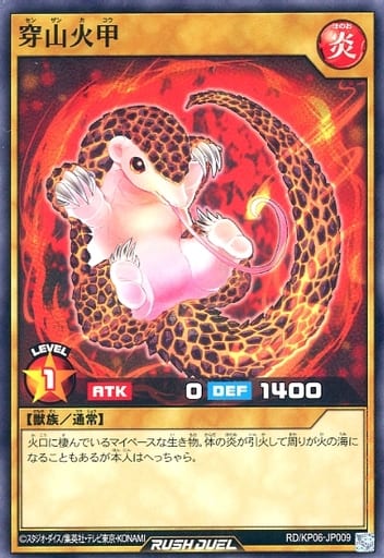 [N] RD/KP06-JP009 穿山火甲