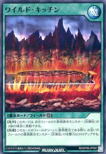 [N] RD/KP06-JP050 ワイルド・キッチン