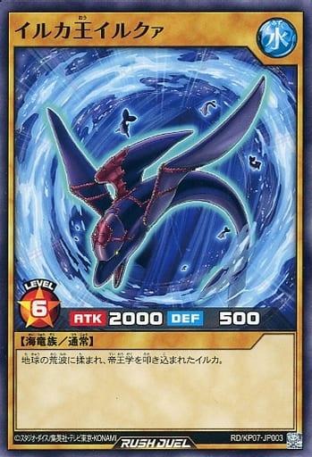 [N] RD/KP07-JP003 イルカ王イルクァ