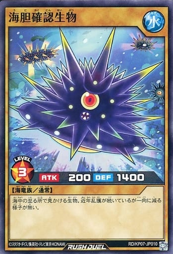 [N] RD/KP07-JP010 海胆確認生物