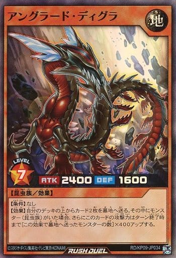 [SR] RD/KP09-JP034 アングラード・ディグラ