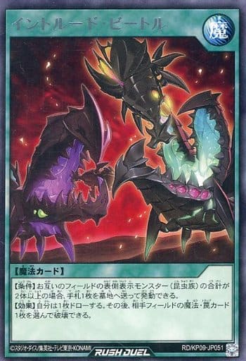 [R] RD/KP09-JP051 イントルード・ビートル