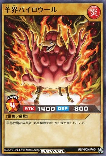 [N] RD/KP09-JP004 羊界パイロウール