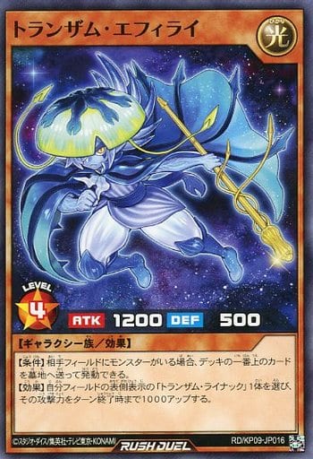 [N] RD/KP09-JP016 トランザム・エフィライ