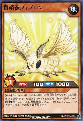 [N] RD/KP09-JP025 貿績蚕フィブロン