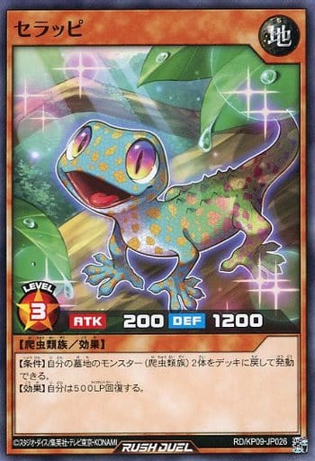 [N] RD/KP09-JP026 セラッピ
