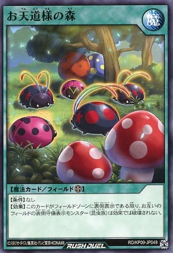 [N] RD/KP09-JP049 お天道様の森