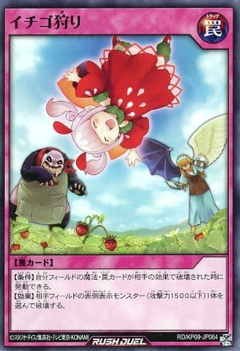 [N] RD/KP09-JP064 イチゴ狩り