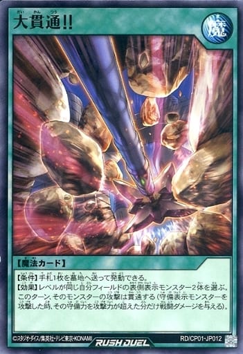 [N] RD/CP01-JP012 大貫通！！