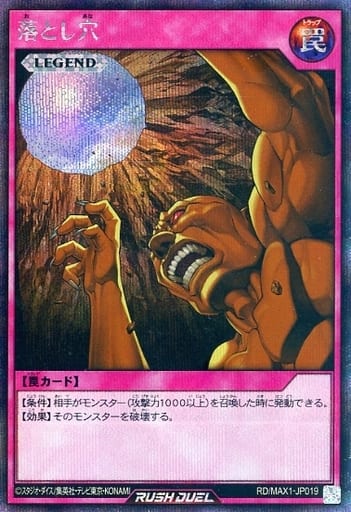 [SE] RD/MAX1-JP019 落とし穴
