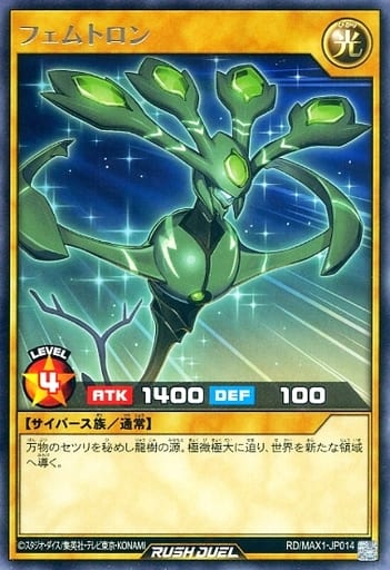 [R] RD/MAX1-JP014 フェムトロン