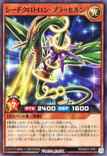 [SR] RD/MAX2-JP021 シードクロトロン・ブラッセルン