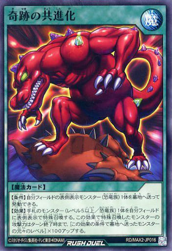 [N] RD/MAX2-JP016 奇跡の共進化