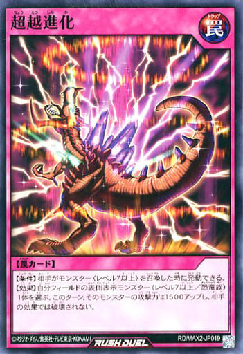 [N] RD/MAX2-JP019 超越進化
