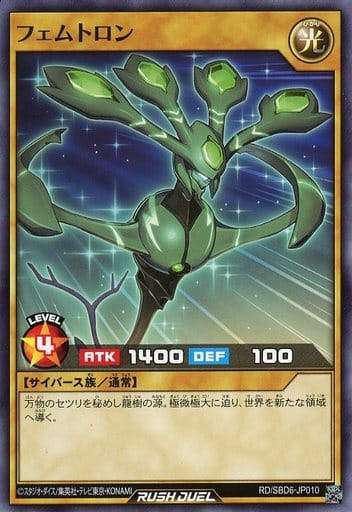 [N] RD/SBD6-JP010 フェムトロン