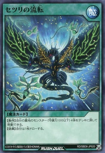 [N] RD/SBD6-JP020 セツリの流転