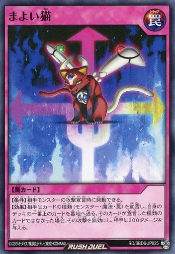 [N] RD/SBD6-JP025 まよい猫