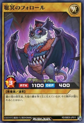 [N] RD/SBD5-JP011 聡冥のフォロール