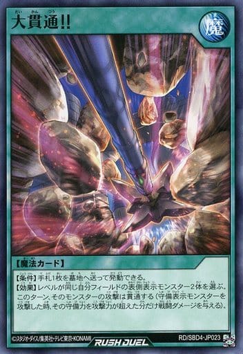 [N] RD/SBD4-JP023 大貫通！！