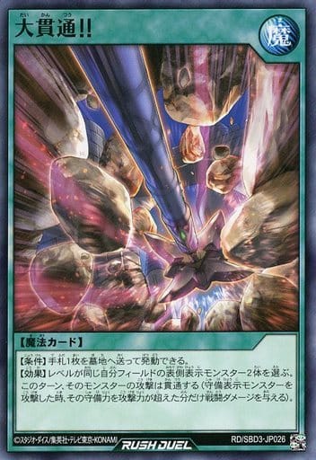 [N] RD/SBD3-JP026 大貫通！！