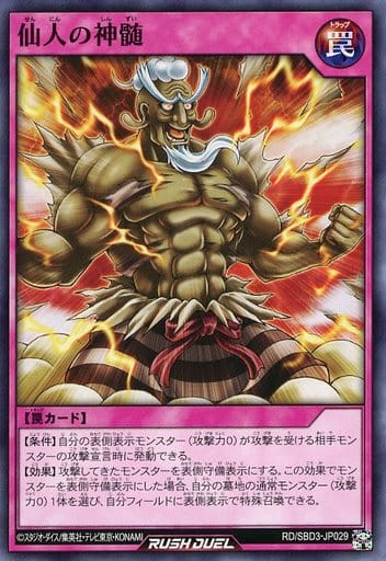 [N] RD/SBD3-JP029 仙人の神髄